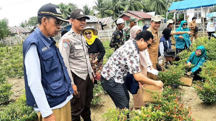 Kampung Sayur Desa Nonong